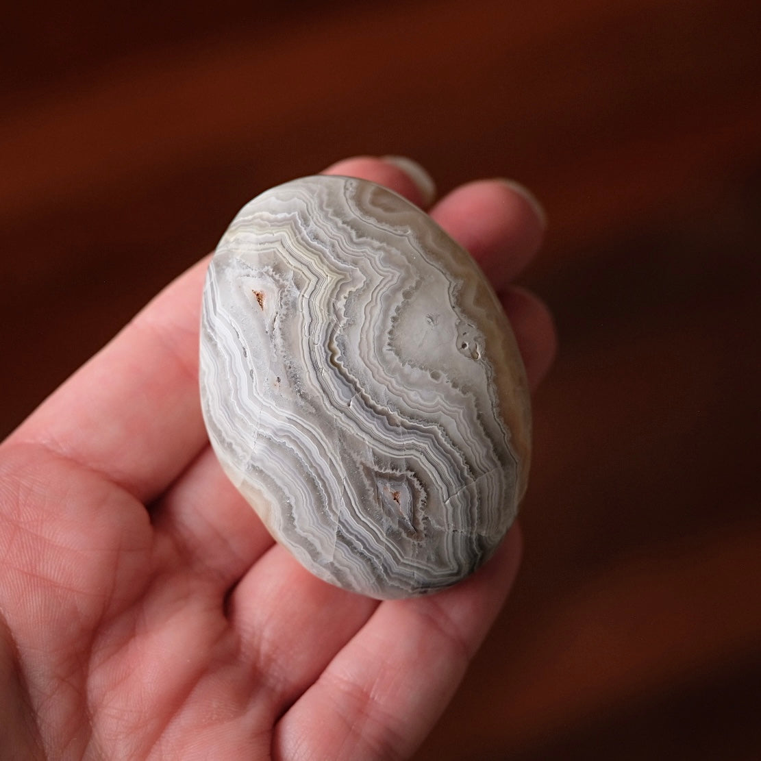 Crazy Lace Agate Palm | Mexican Crazy Lace Crystal Palm