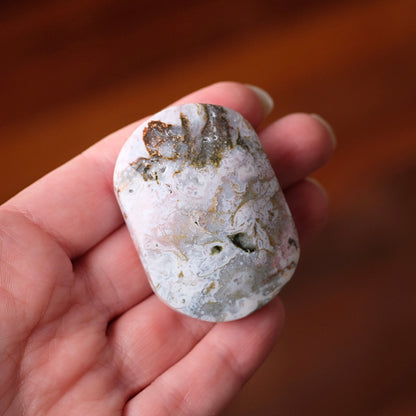 Ocean Jasper Palm | Sea Jasper Crystal Palmstone
