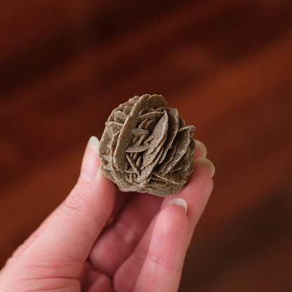 Desert Rose Selenite Specimen | Gypsum Raw Crystal