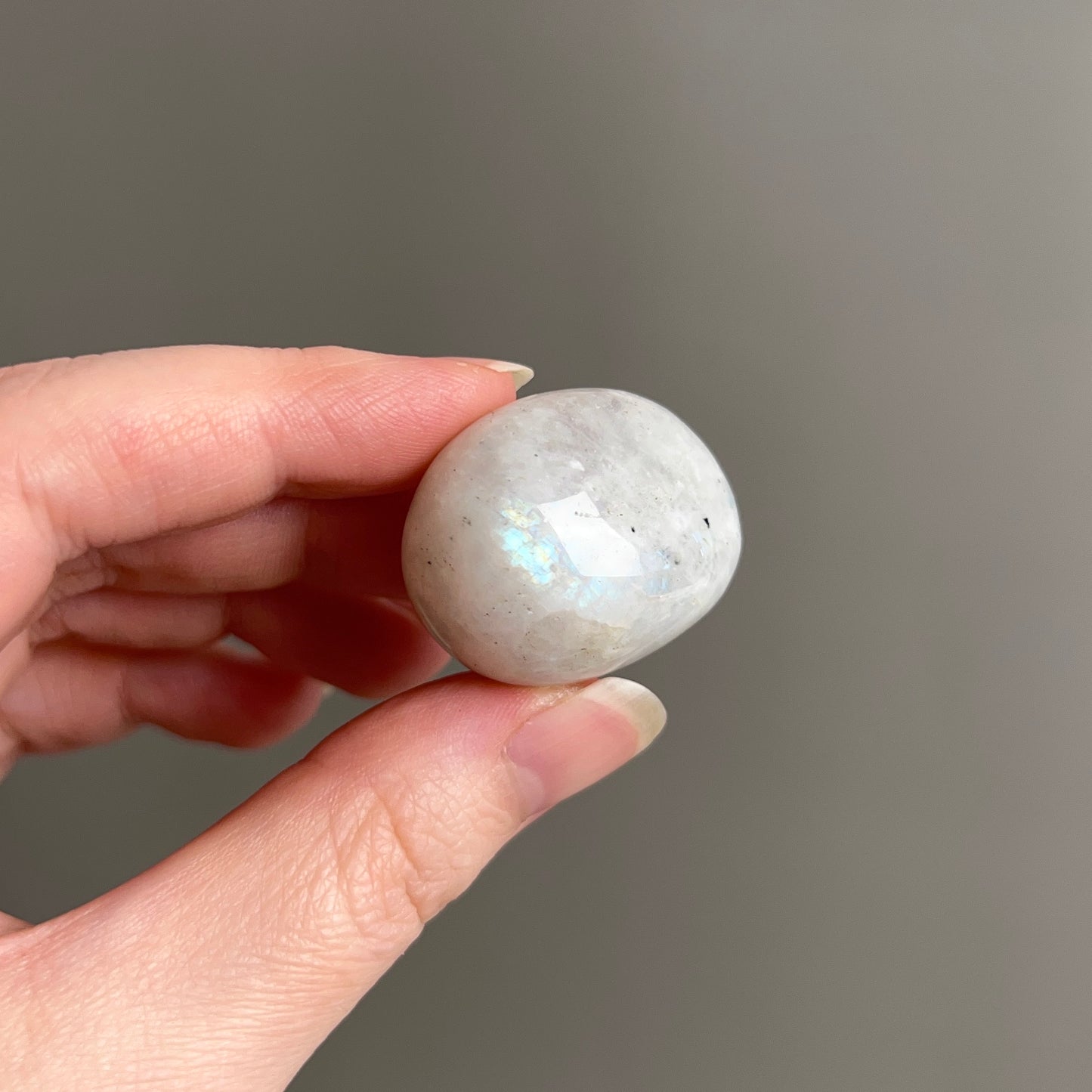 Rainbow Moonstone Tumble | Blue Moonstone Tumbled Crystal