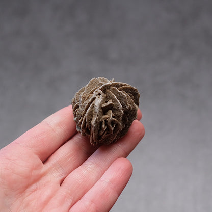 Desert Rose Selenite Specimen | Gypsum Raw Crystal