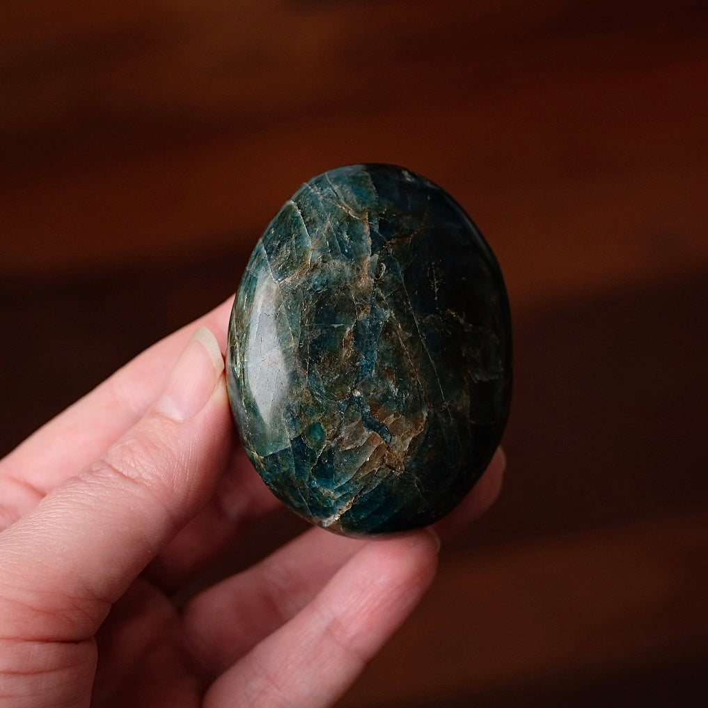 XL Apatite Palm | Dark Teal Blue Apatite Crystal Palmstone