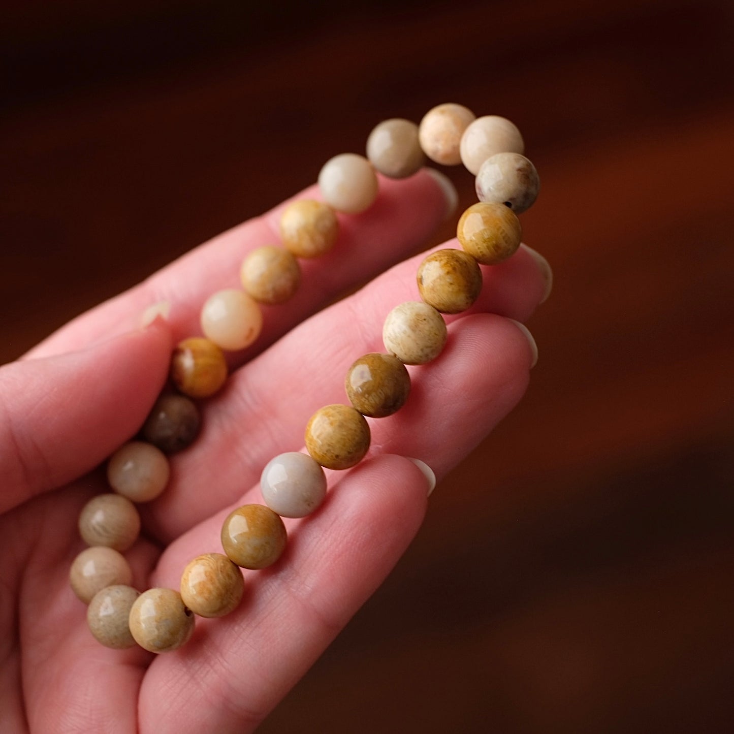 Fossilised Coral Bracelet | Coral Crystal Stretch Bracelet