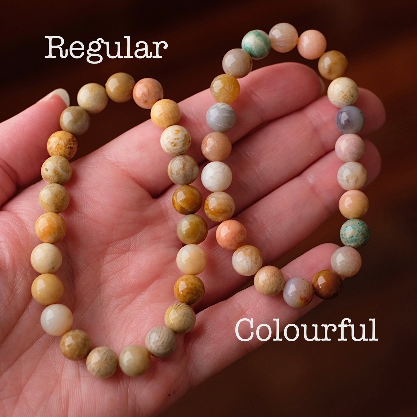 Colourful Fossilised Coral Bracelet | Coral Crystal Stretch Bracelet