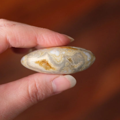 Ocean Jasper Palm | OJ Crystal Pocket Stone