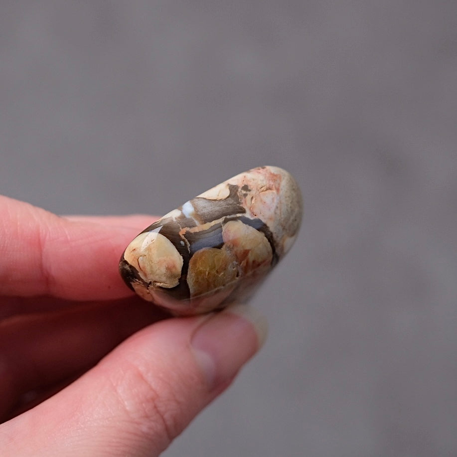 Australian Peanut Wood  | Polished Peanut Wood Crystal Freeform