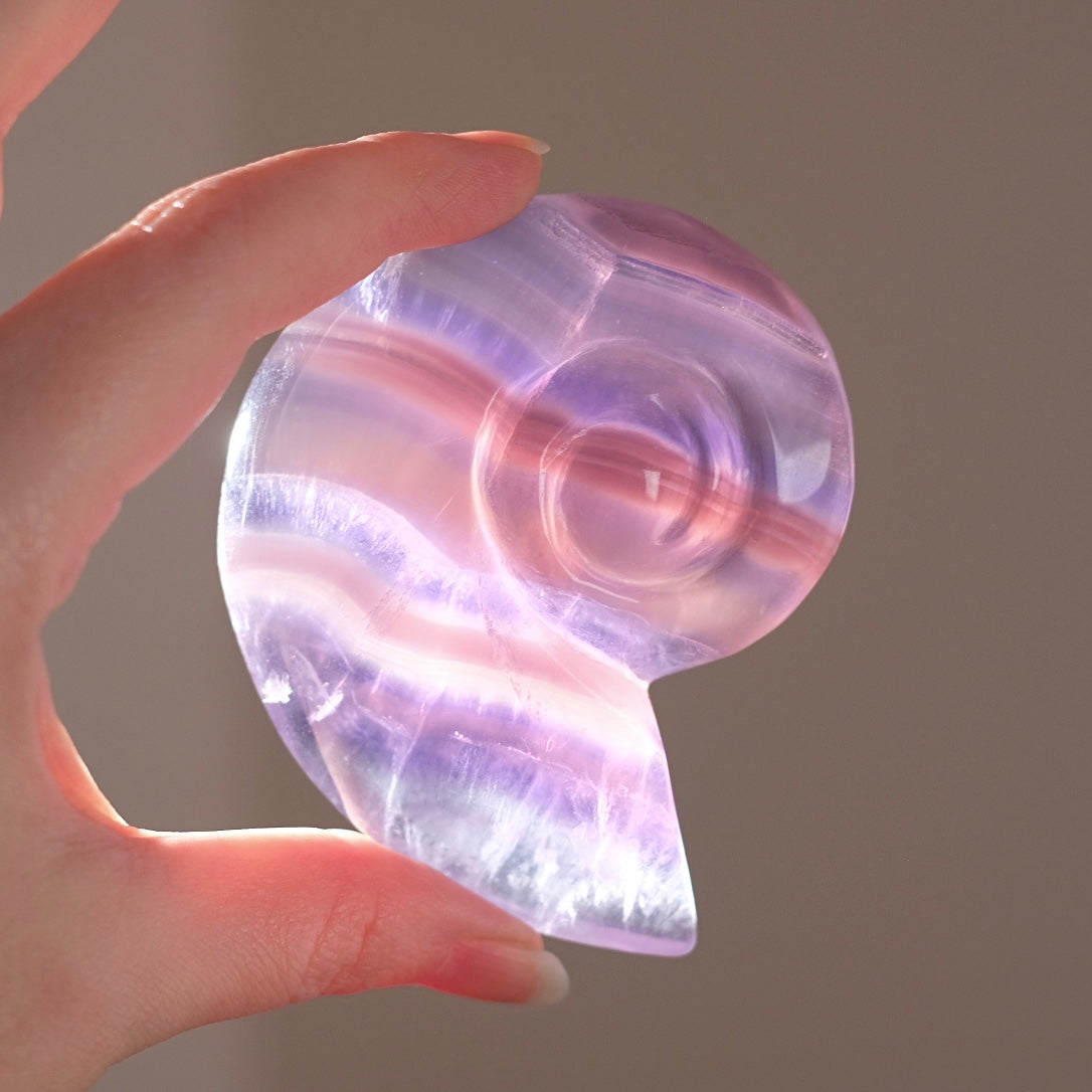 Yttrium Fluorite Ammonite Carving | Pink Fluorite Crystal Shell