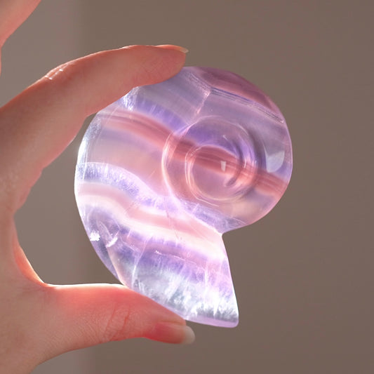 Yttrium Fluorite Ammonite Carving | Pink Fluorite Crystal Shell