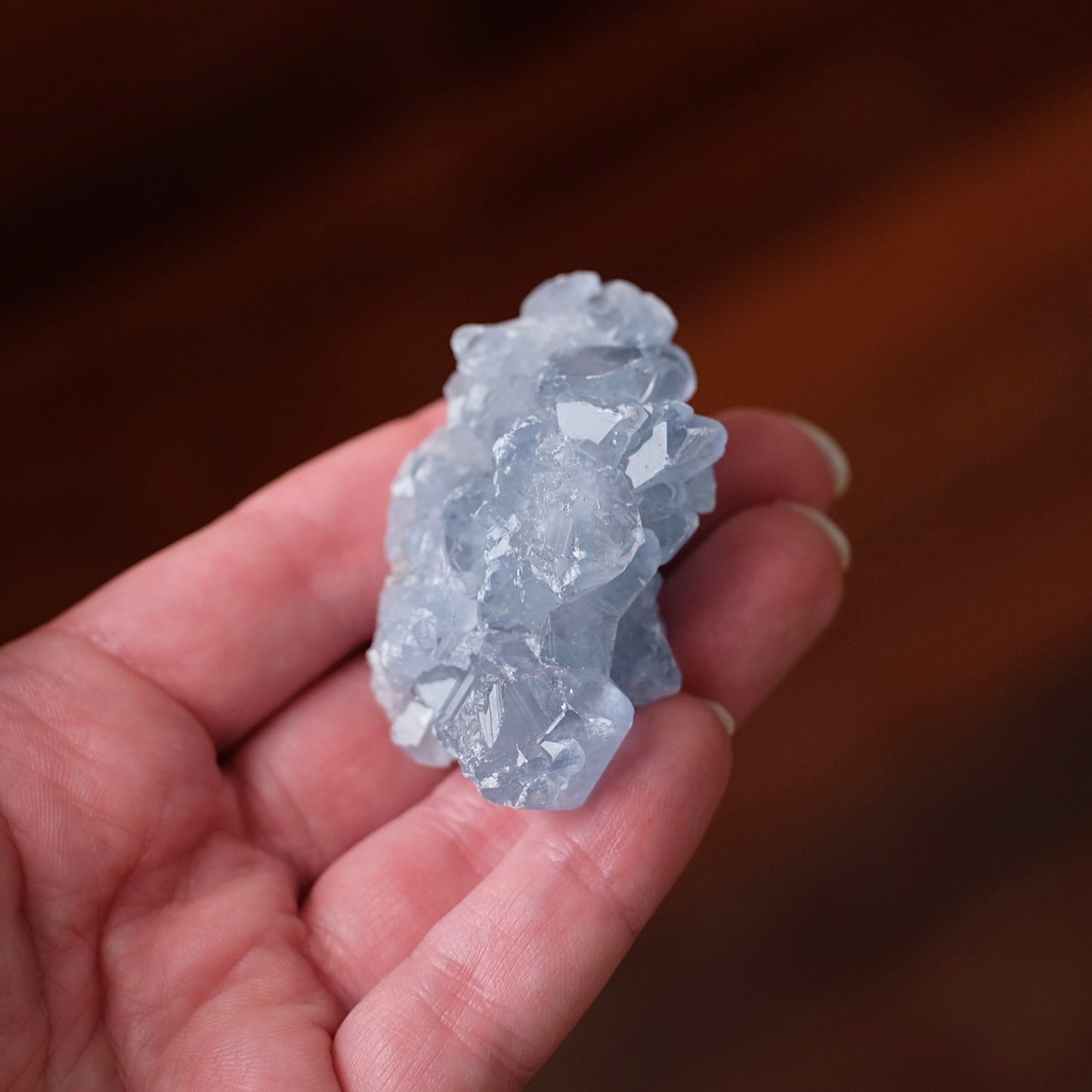 Blue Celestite Cluster | Celestine Crystal Specimen