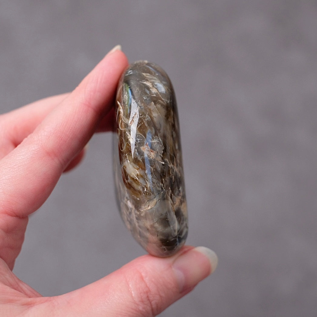 Australian Peanut Wood  | Polished Peanut Wood Crystal Freeform