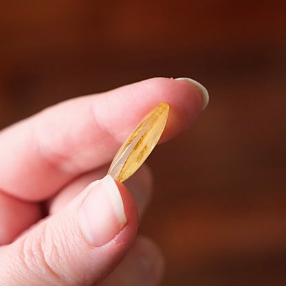 Dendritic Golden Healer Quartz | Crystal Cab