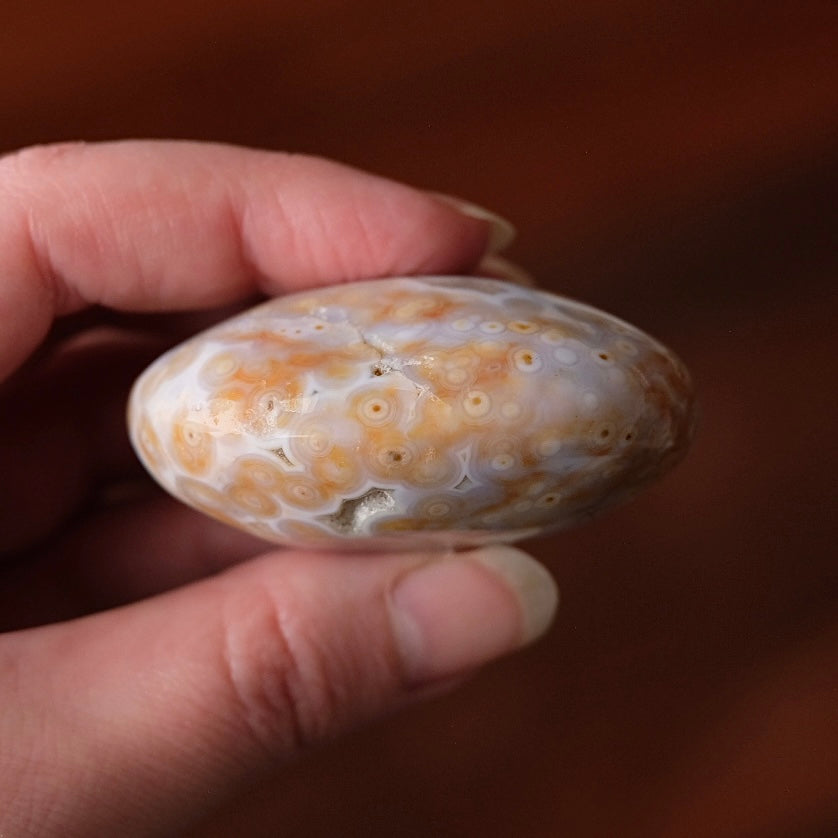 Old Stock Ocean Jasper Palm | Orbicular OJ Crystal Palmstone