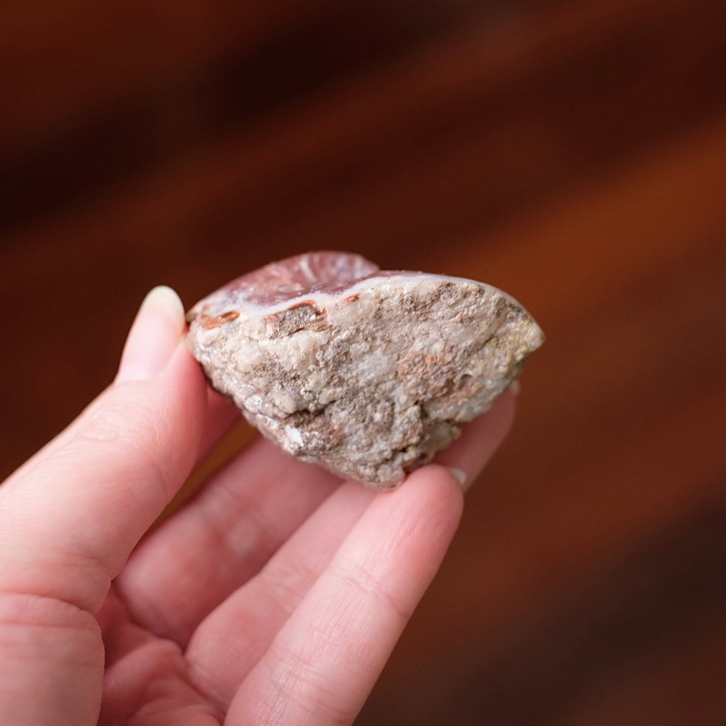 Raspberry Pink Amethyst Geode | Polished Pink Amethyst Crystal Specimen 12