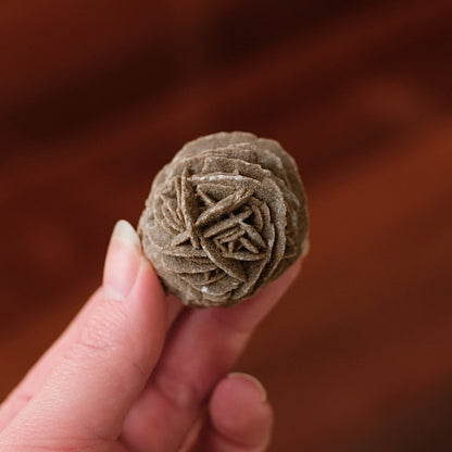 Desert Rose Selenite Specimen | Gypsum Raw Crystal