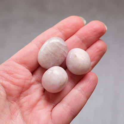 Set of 3 Kunzite Tumbles | Kunzite Tumbled Crystal
