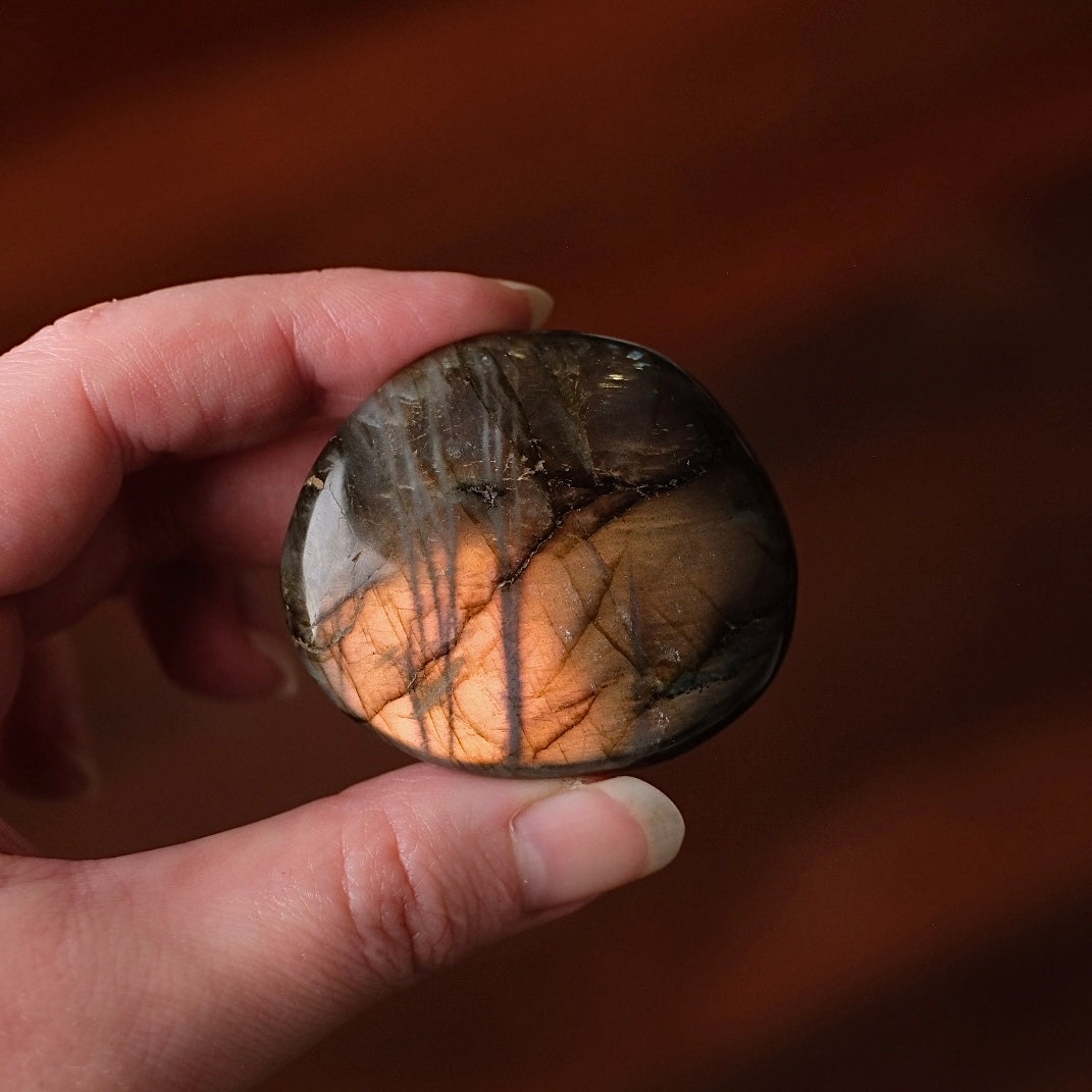 Labradorite Palm | Orange Labradorite Crystal Palm