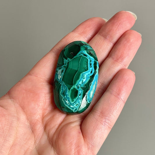 Malachite Palm | Malachite Chrysocolla Crystal Palm