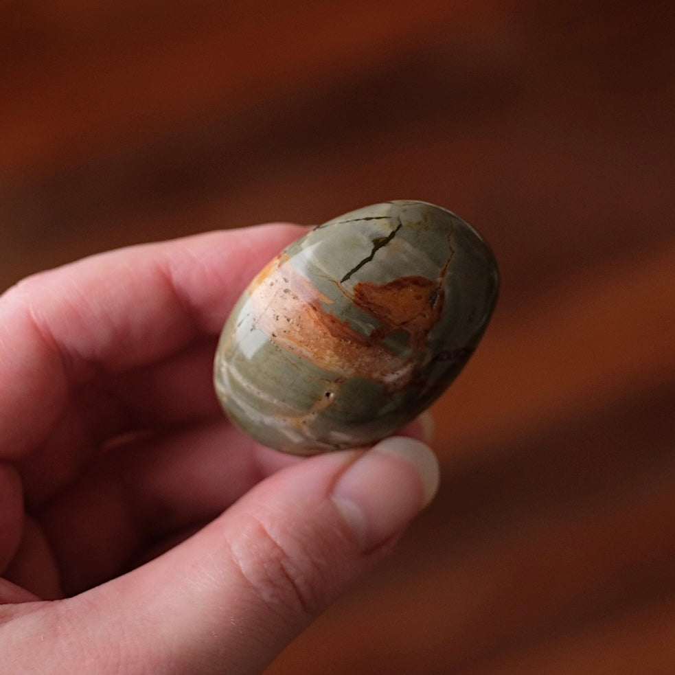 Ibis Jasper Palm | Brecciated Jasper Crystal Palmstone