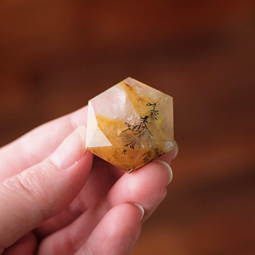 Dendritic Quartz Hexagon | Golden Healer Crystal Jewel | Star of David