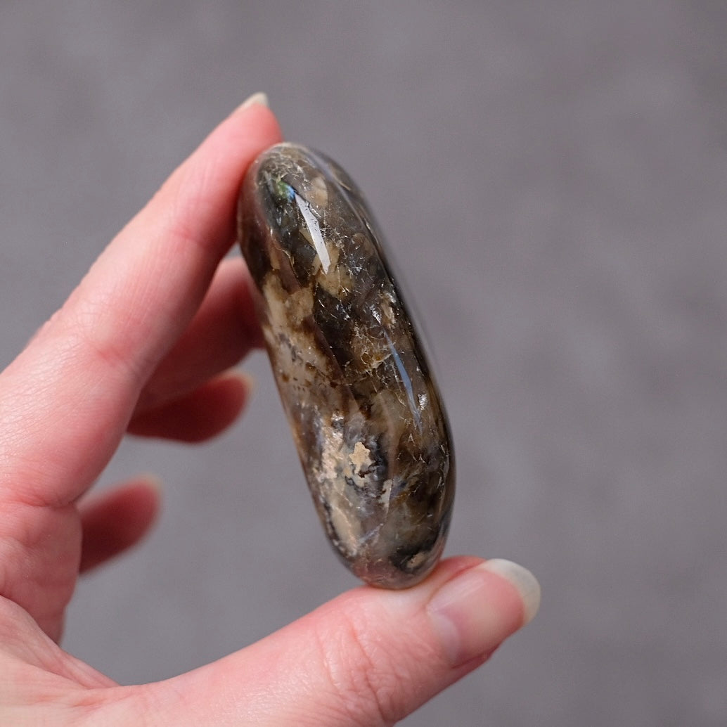 Australian Peanut Wood  | Polished Peanut Wood Crystal Freeform