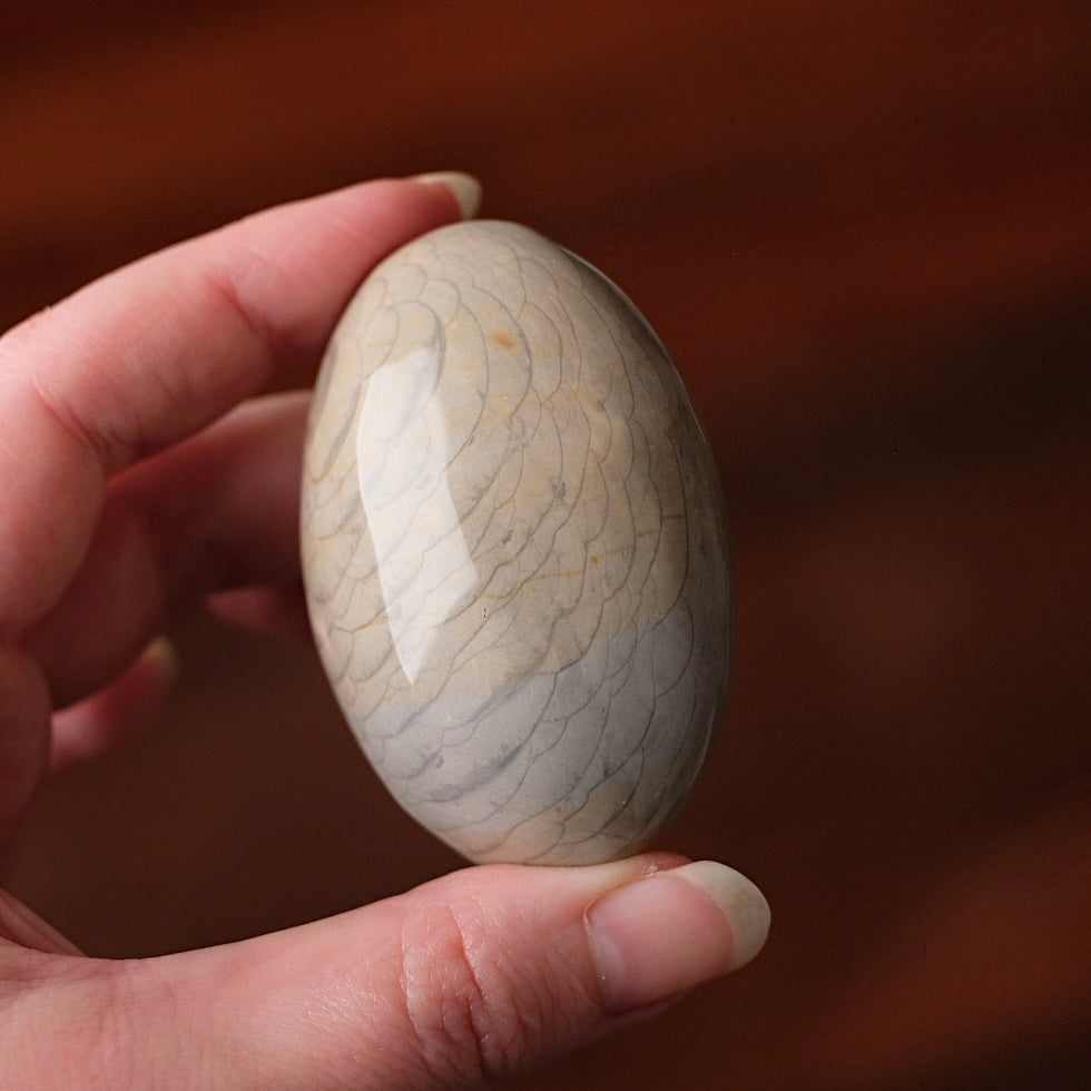 Polychrome Jasper Palm | Wave Polychrome Palm Stone