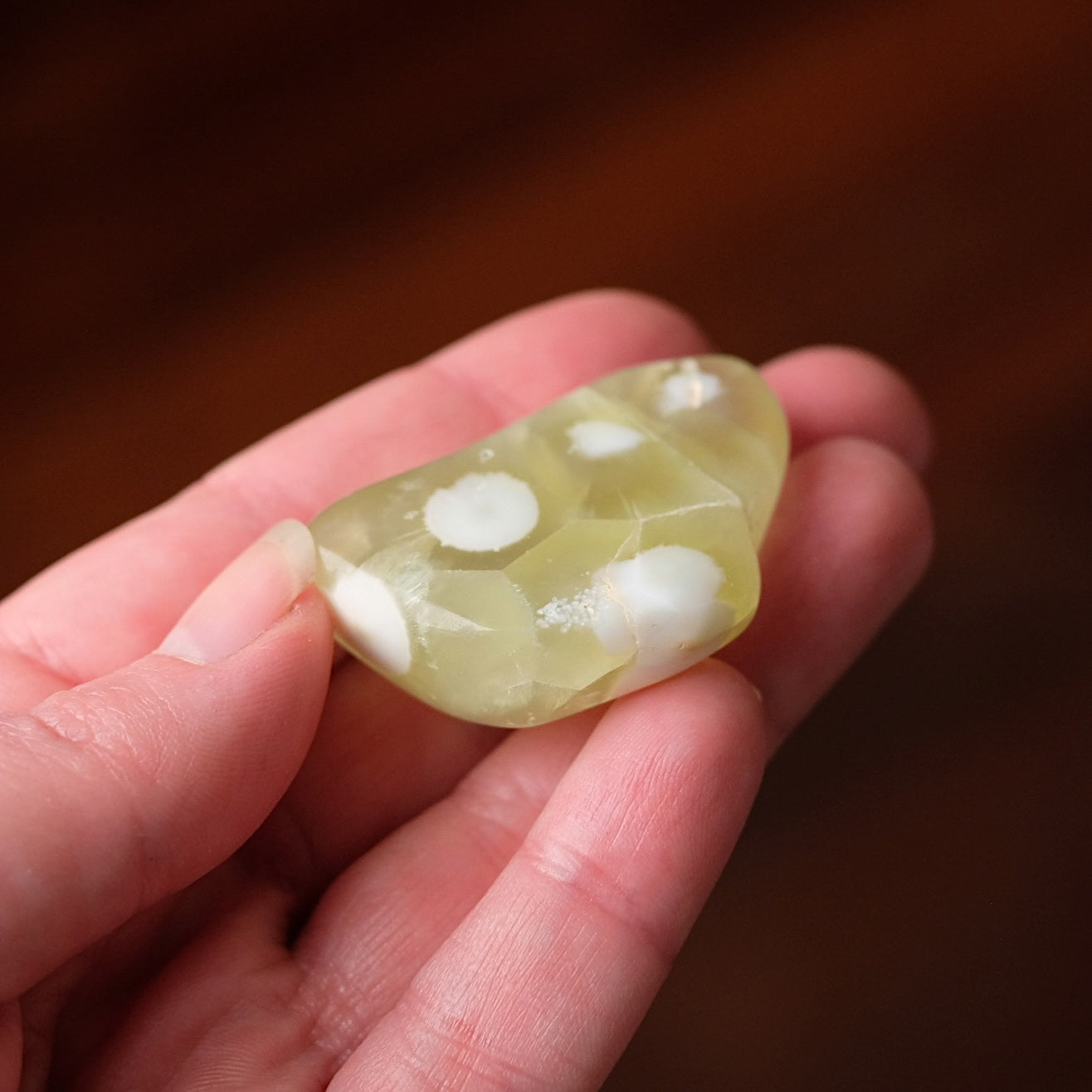 Australian Prehnite Freeform | Polished Prehnite Crystal