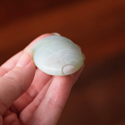 Rare Blue Flower Agate Palm | Green Flower Agate Palm