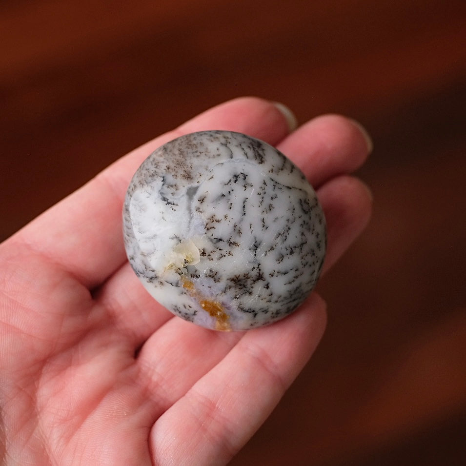 Merlinite Palm Stone | Dendritic Opal Palmstone