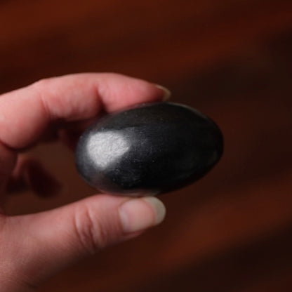 Shungite Palm | Shungite Crystal Palmstone