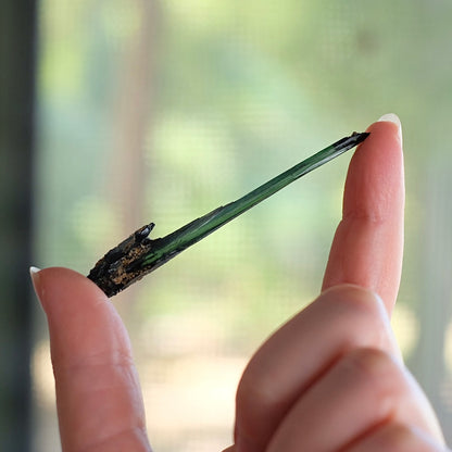 Vivianite Crystal Specimen | Natural Raw Crystal