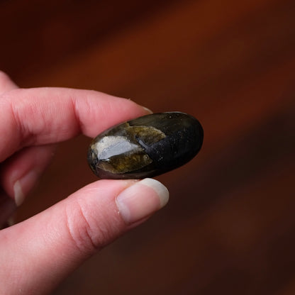 Flashy Labradorite Pocket Stone | Tumbled Crystal Palm