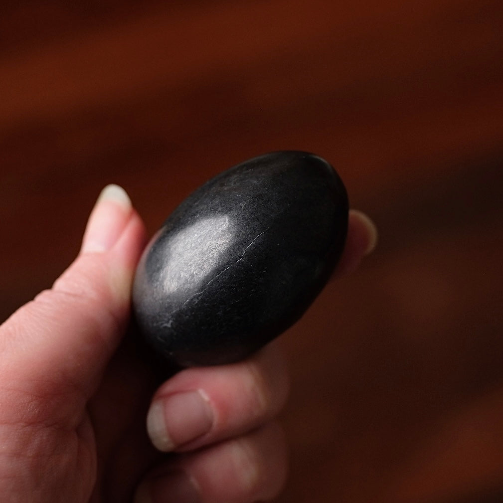 Shungite Palm | Shungite Crystal Palmstone