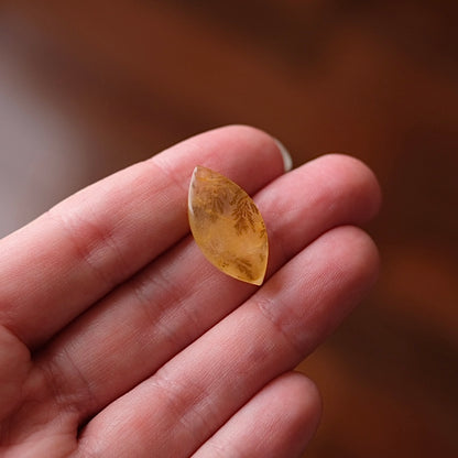 Dendritic Golden Healer Quartz | Crystal Cab
