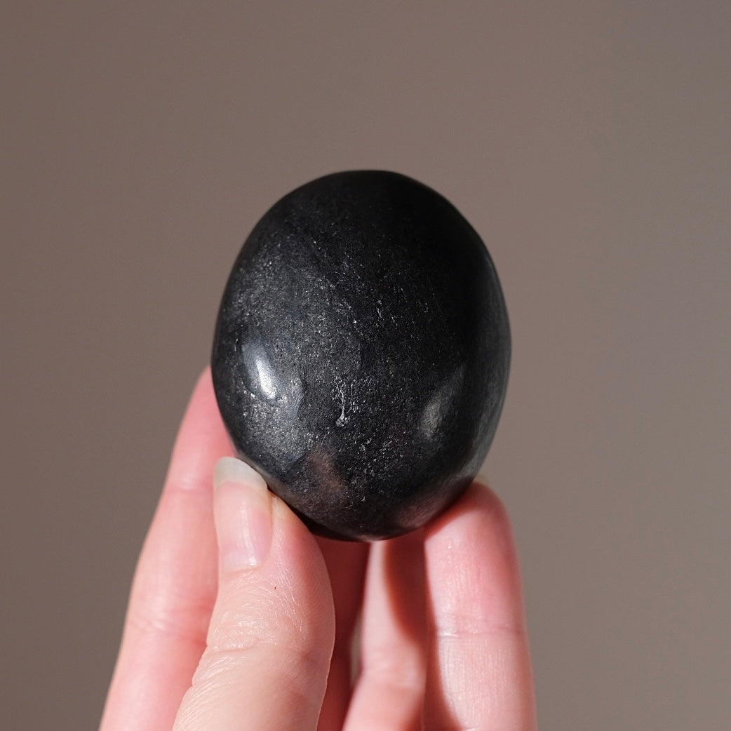 Shungite Palm | Shungite Crystal Palmstone