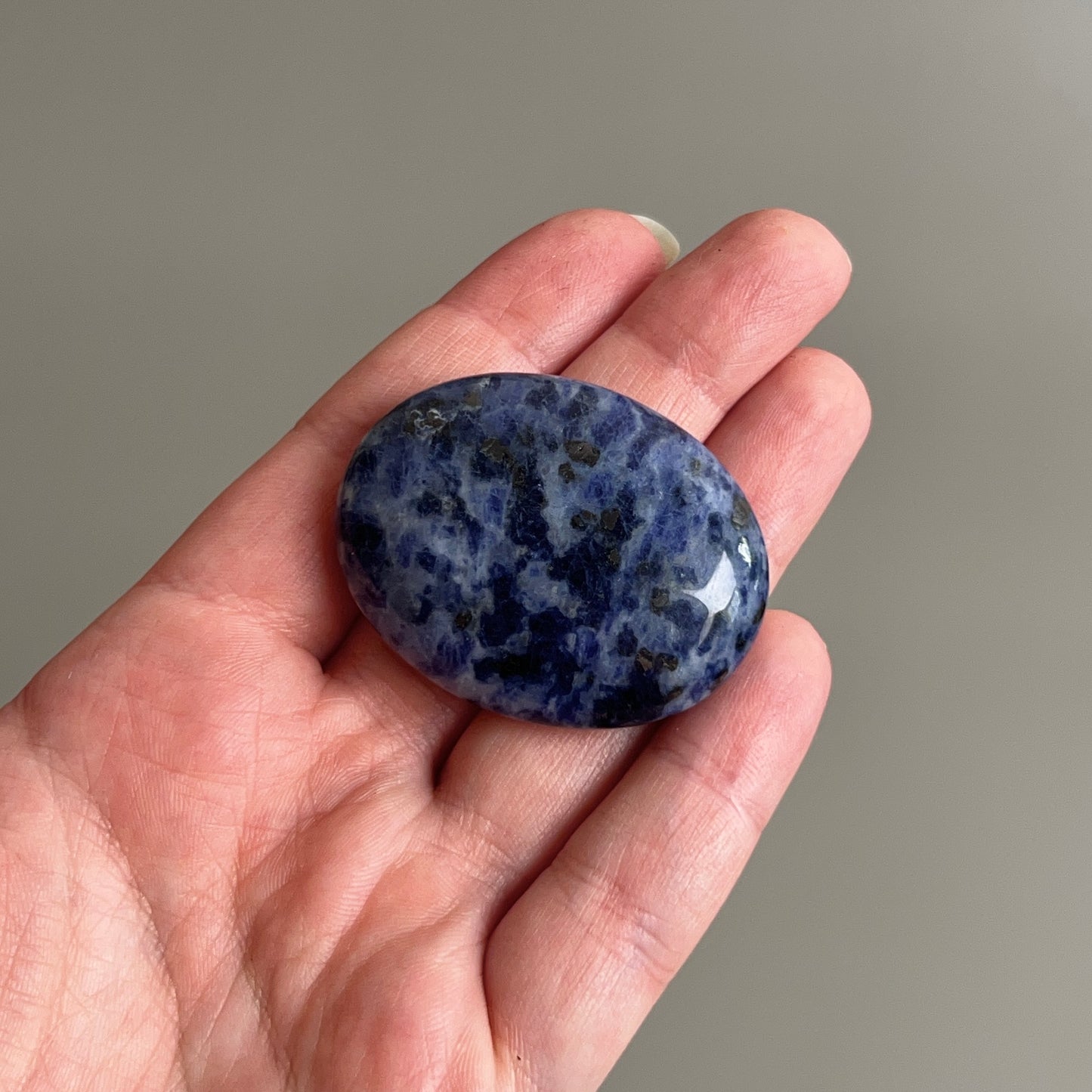 Sodalite Palm | Blue Sodalite Crystal Palm Stone