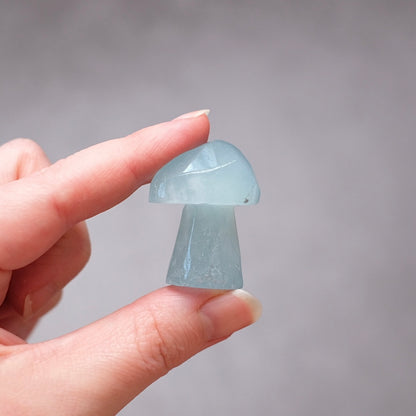 Aquamarine Mushroom | Crystal Mushroom Carving