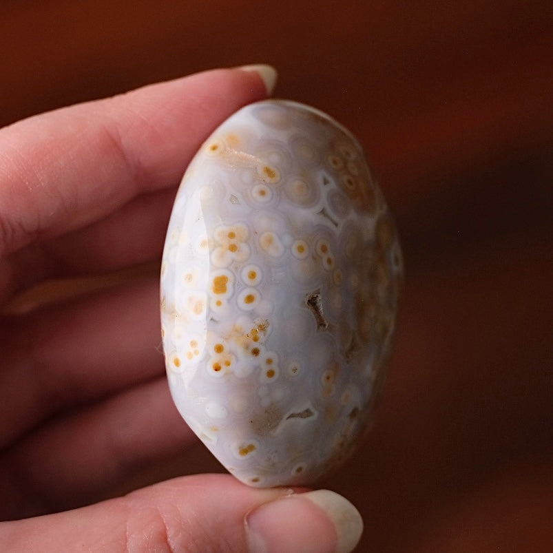 Old Stock Ocean Jasper Palm | Orbicular OJ Crystal Palmstone