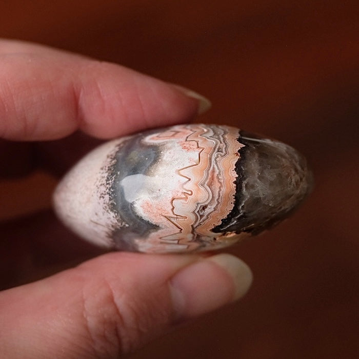 Crazy Lace Agate Palm | Mexican Crazy Lace Crystal Palm