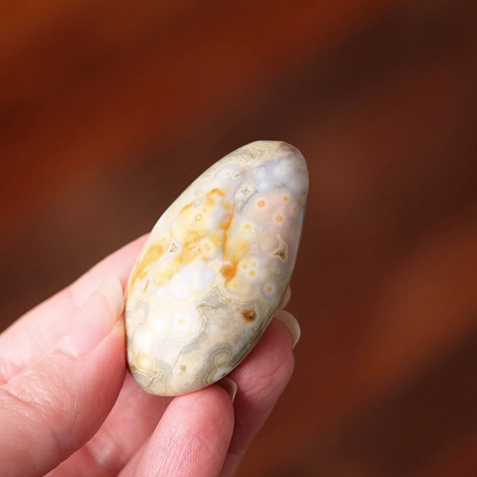 Ocean Jasper Palm | OJ Crystal Pocket Stone