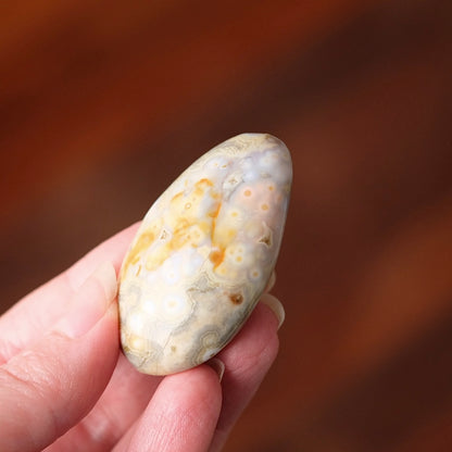 Ocean Jasper Palm | OJ Crystal Pocket Stone