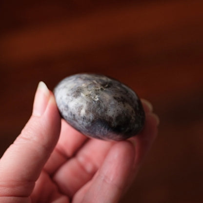 Merlinite Palm Stone | Dendritic Opal Palmstone