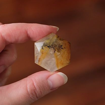 Dendritic Quartz Hexagon | Golden Healer Crystal Jewel | Star of David