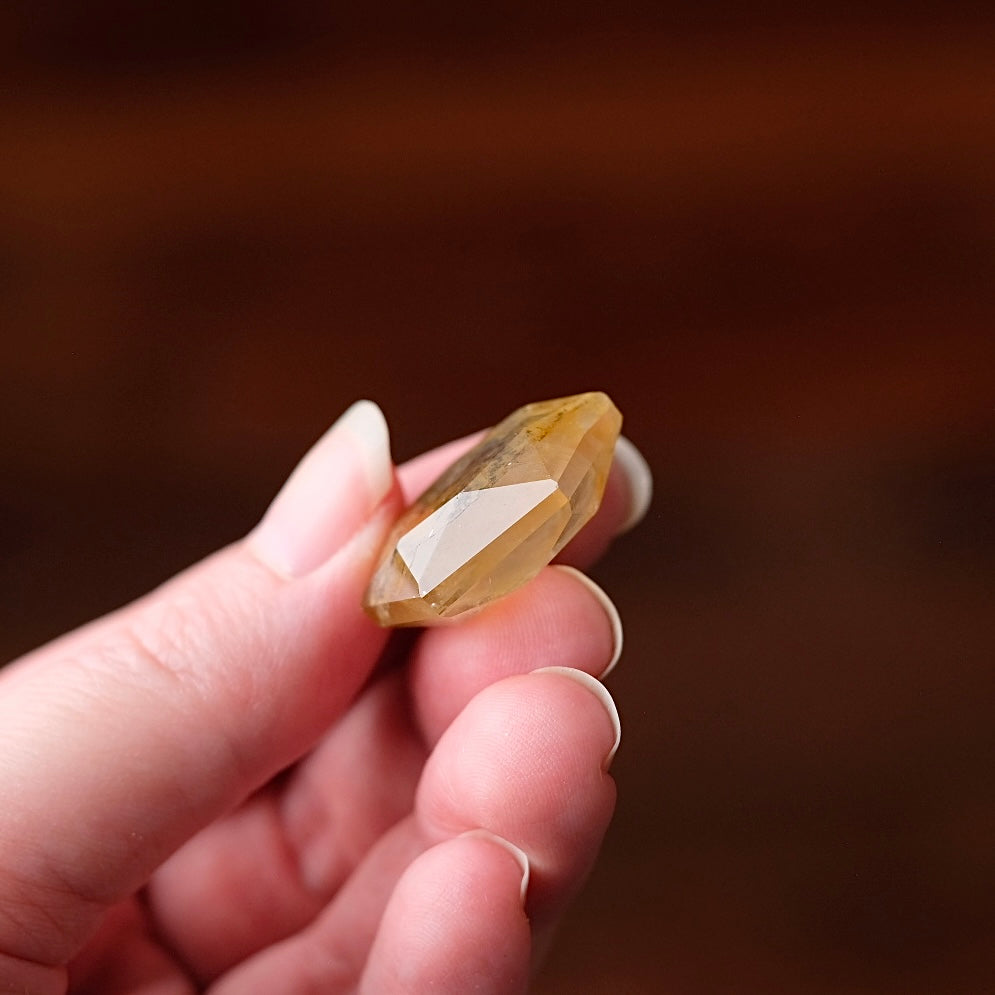 Dendritic Quartz Hexagon | Golden Healer Crystal Jewel | Star of David