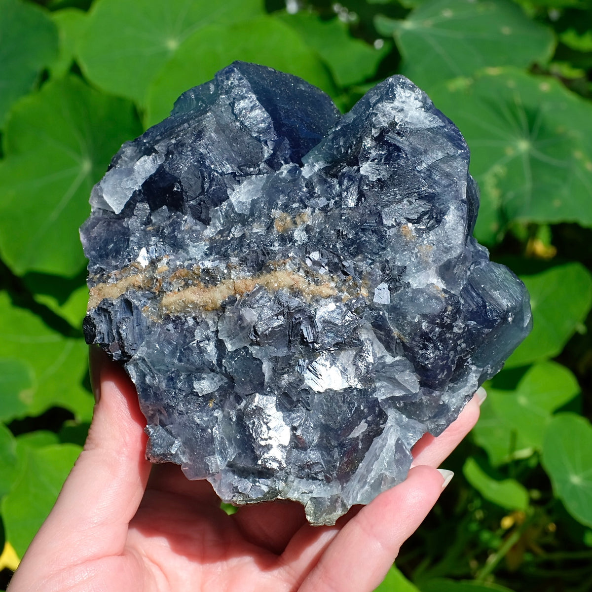 Nigeria Sunshine Fluorite | Colour Change Fluorite Specimen