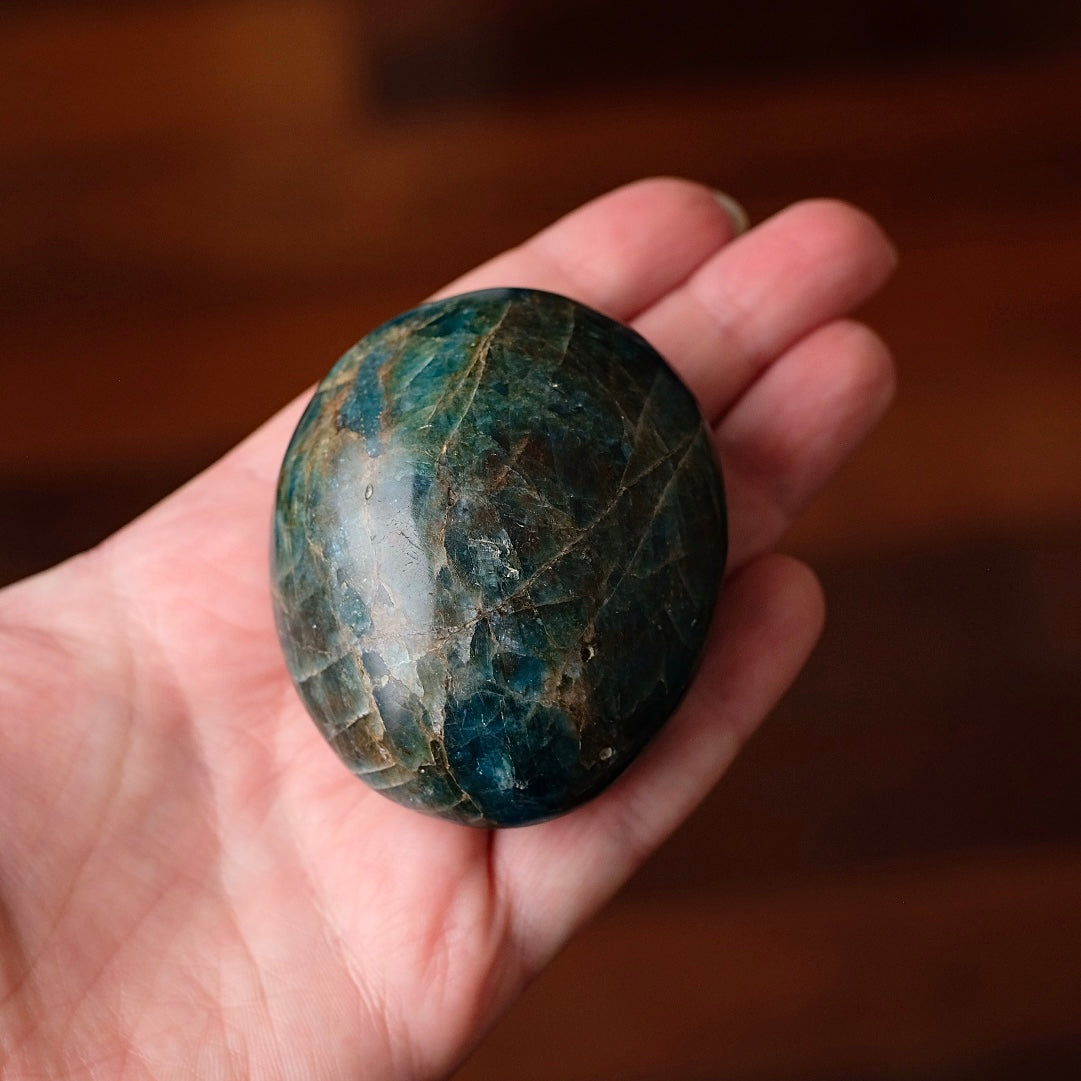 XL Apatite Palm | Dark Teal Blue Apatite Crystal Palmstone