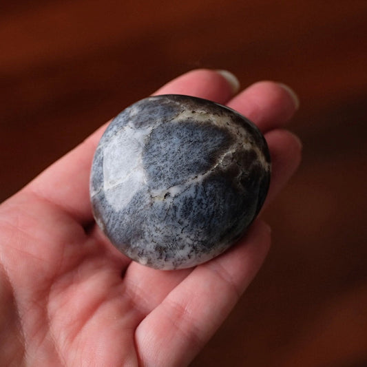 Merlinite Palm Stone | Dendritic Opal Palmstone