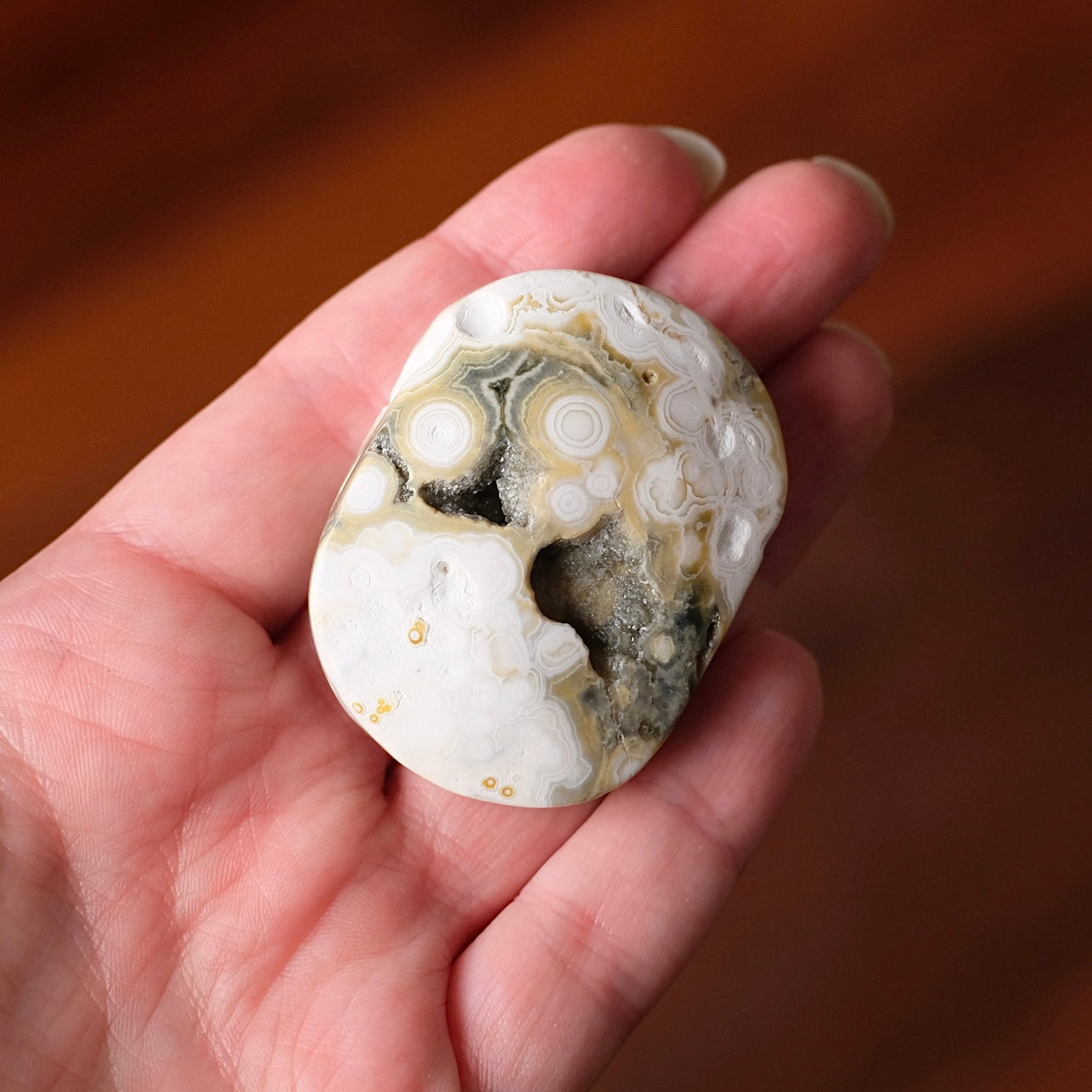Ocean Jasper Palm | Sea Jasper Crystal Palmstone