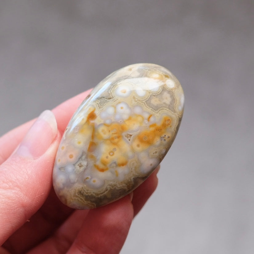 Ocean Jasper Palm | OJ Crystal Pocket Stone