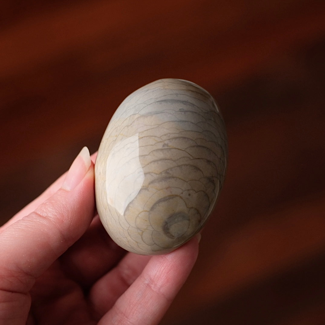 Polychrome Jasper Palm | Wave Polychrome Palm Stone