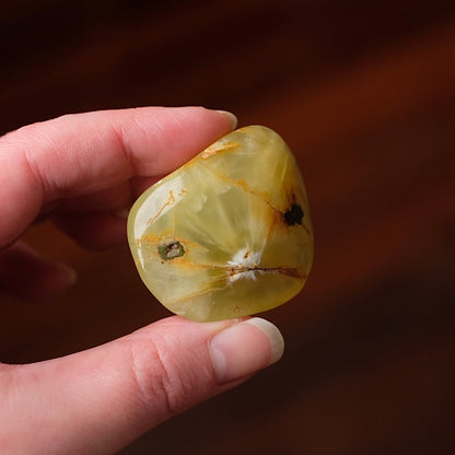 Australian Prehnite Freeform | Polished Prehnite Crystal